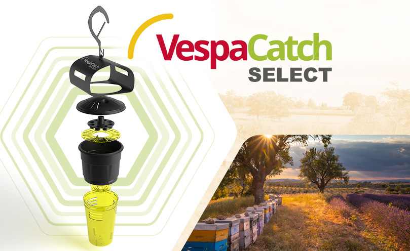 VespaCacth Select is available at beekeeping equipment distributors.